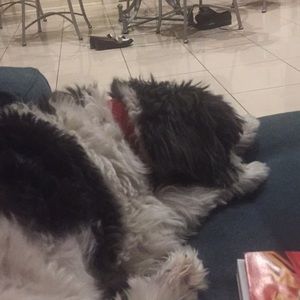 Meet your Posher, Betty